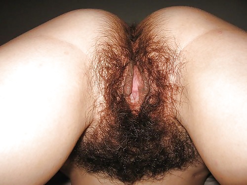 Hairy pussies 4 #25700294