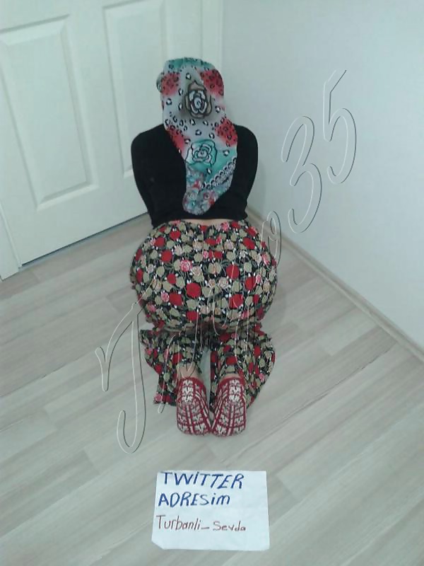 トルコのターバンを巻いた雌犬セブダ 2015.01.03 part I
 #40278448