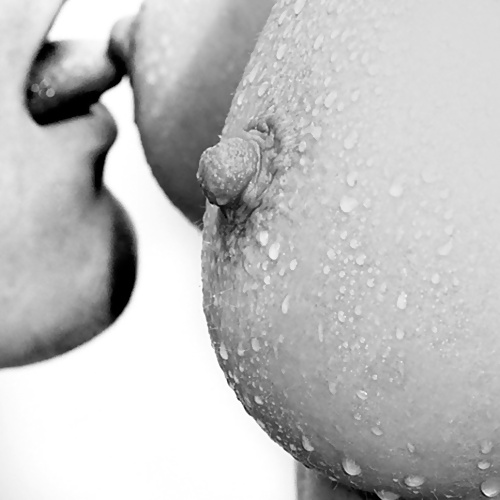 Janas art de la joie 166
 #27750424