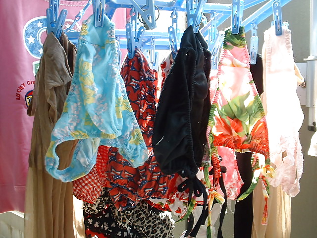 Culottes dentelles
 #27300998