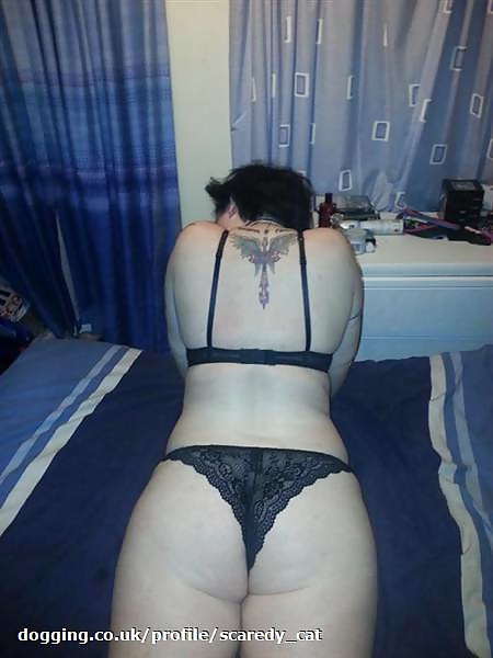Dogger from Wrexham #38655636
