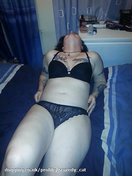 Dogger from Wrexham #38655642