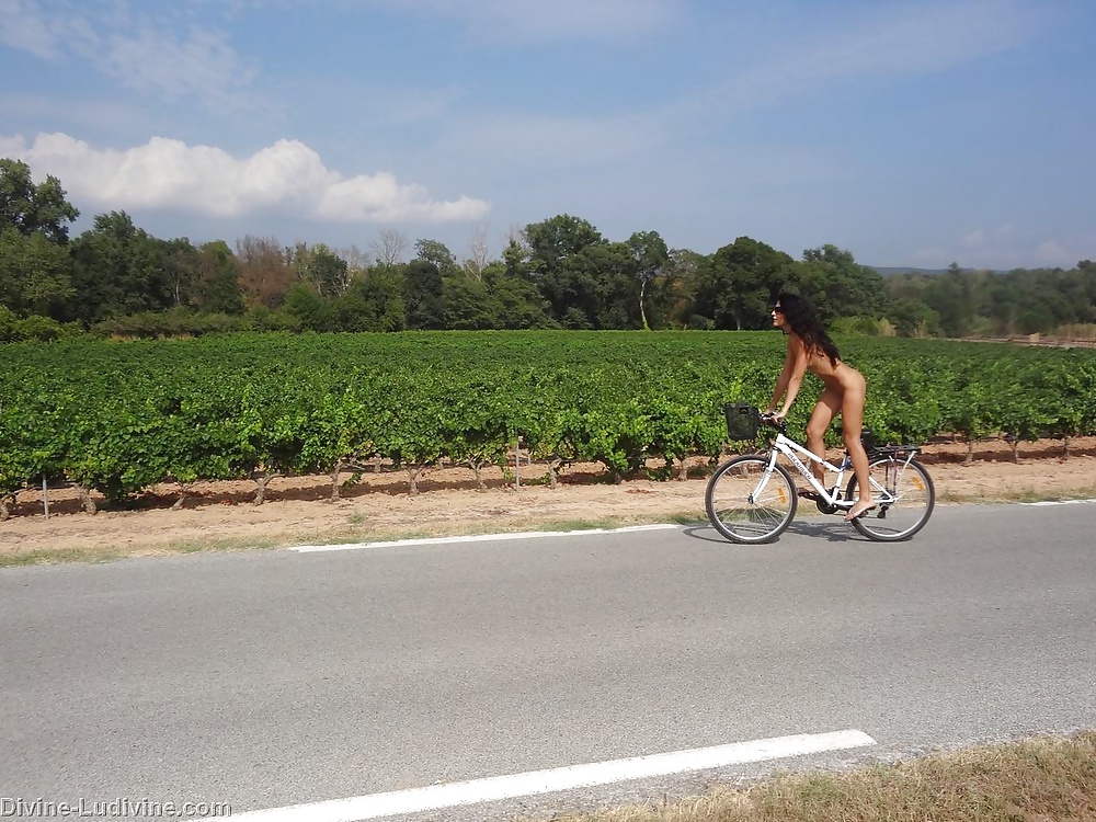 バイク
 #31517357