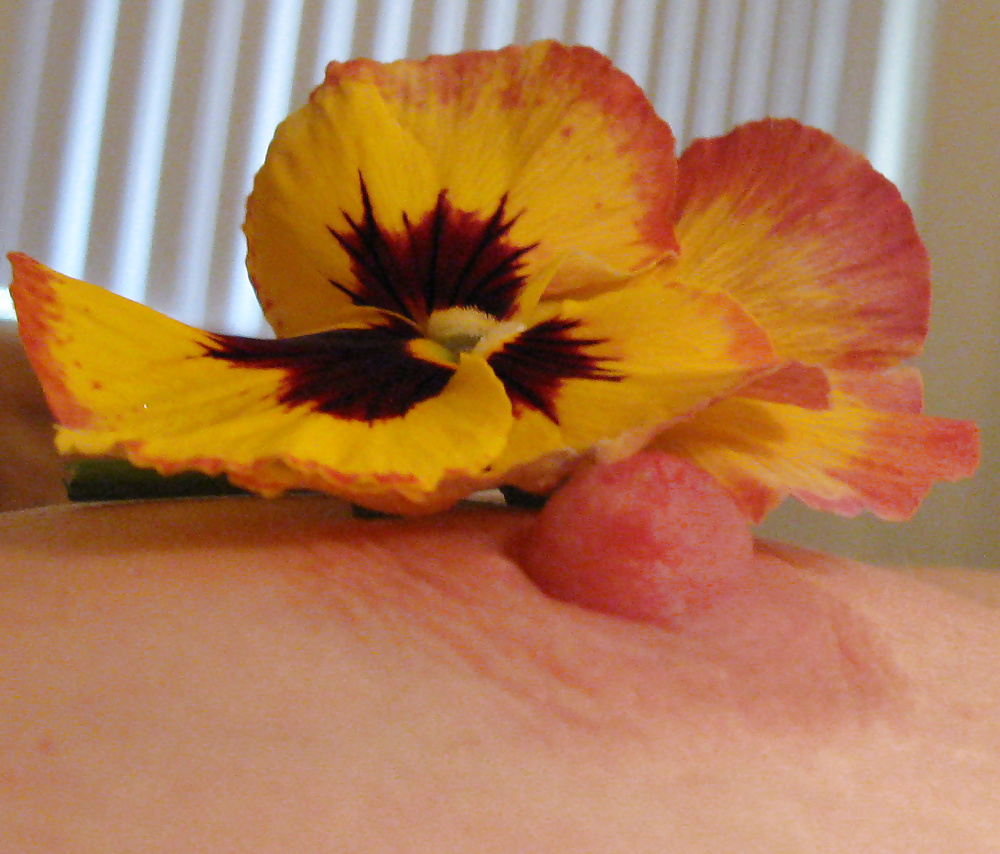 気に入った写真 719
 #40303686