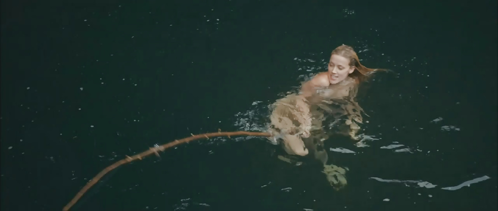 Bernstein Gehört Mega Collection #29459439