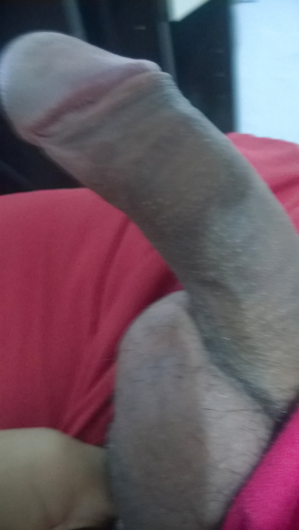 Fotos recientes
 #29265629