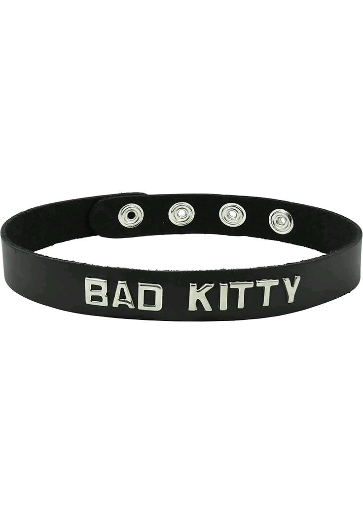 Bad kitty! #40244030