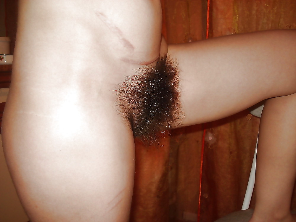 FIGA PELOSA 27, HAIRY PUSSY,CONO PELUDO,CHATTE POILUE #24970286