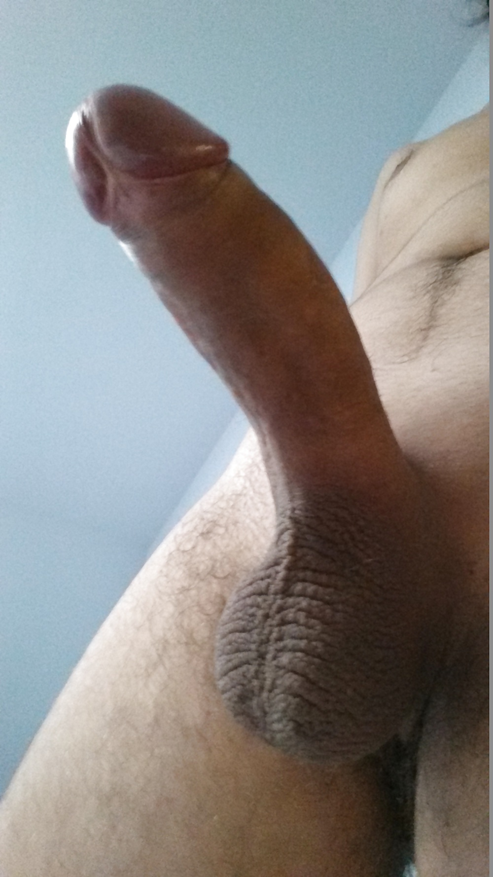 剃って測って
 #29239364