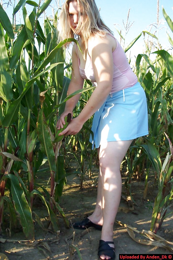 ヤングファティーズ - アニー
 #35010106