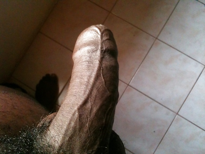My gloomy cock for the females