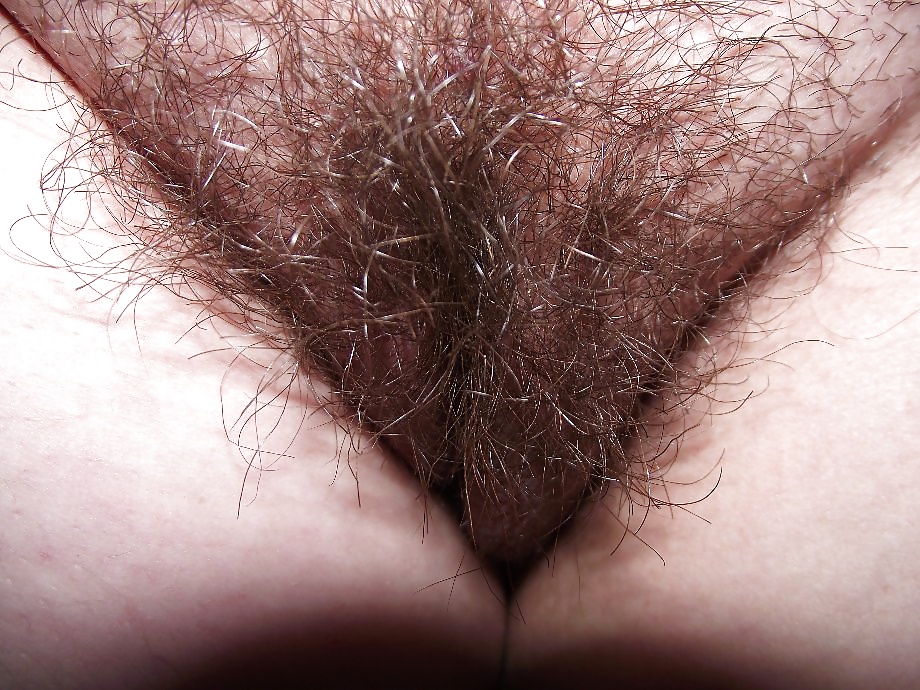 MATURE HAIRY PUSSY #38928281