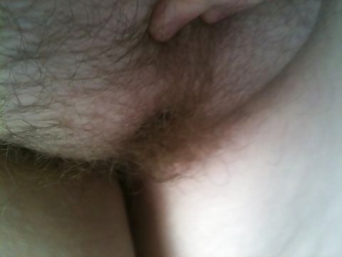 Bbw side boob and hairy pussy #34609279