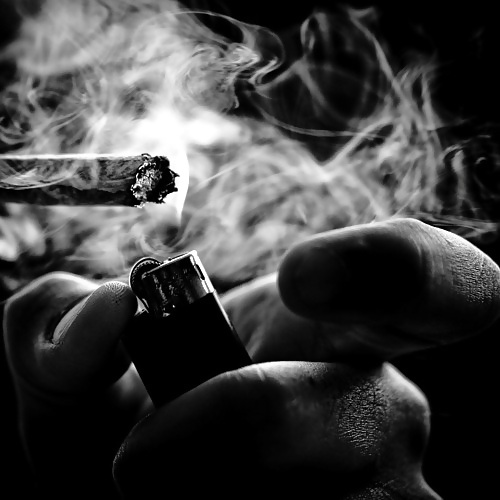 セクシー
 #37387348