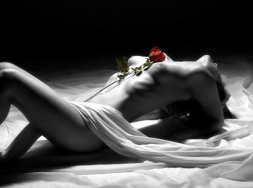 セクシー
 #37387415