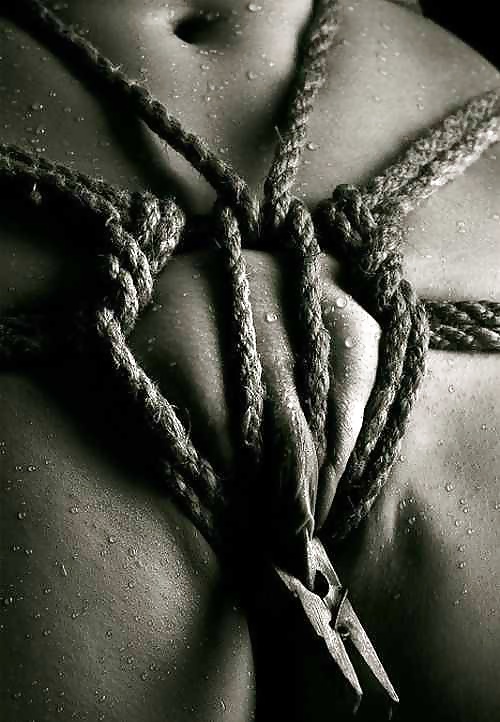 Janas art de la joie 568
 #31615778