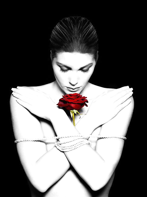 Janas art de la joie 568
 #31615783