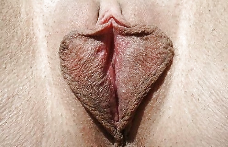 Spettacolo di figa - clitoride e labbra
 #29542771