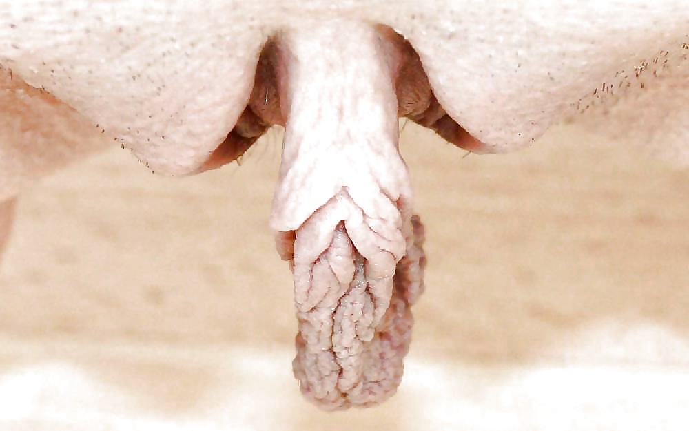 Spettacolo di figa - clitoride e labbra
 #29543031