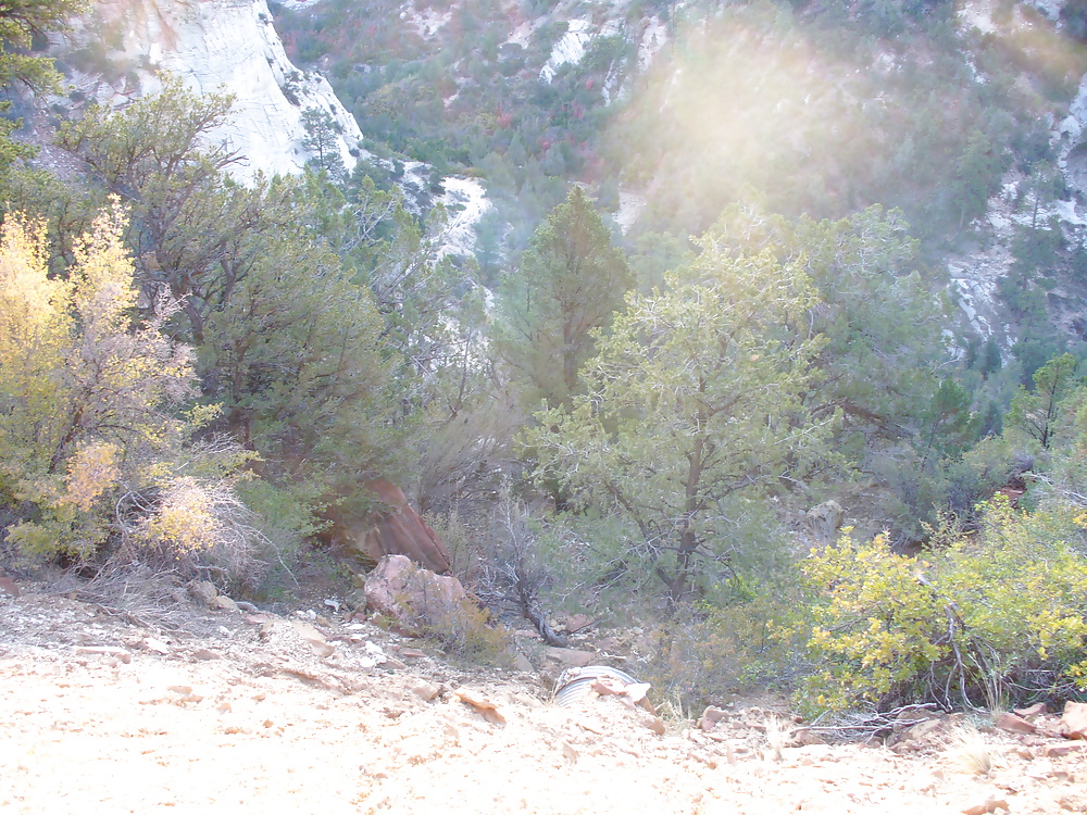 Return to Zion #28703024