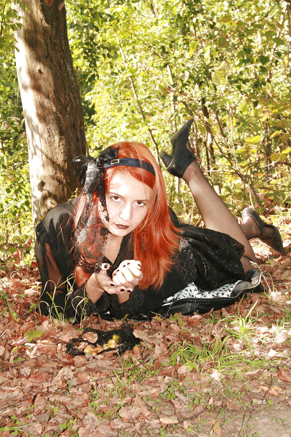 Pequeña coquina
 #36086194