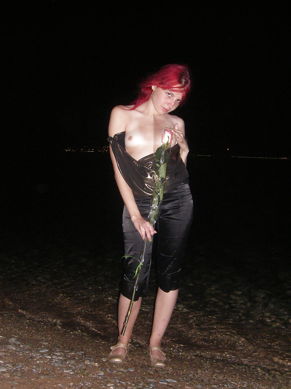 Pequeña coquina
 #36086276