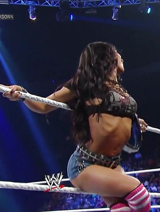 AJ Lee (WWE Diva) #38880015