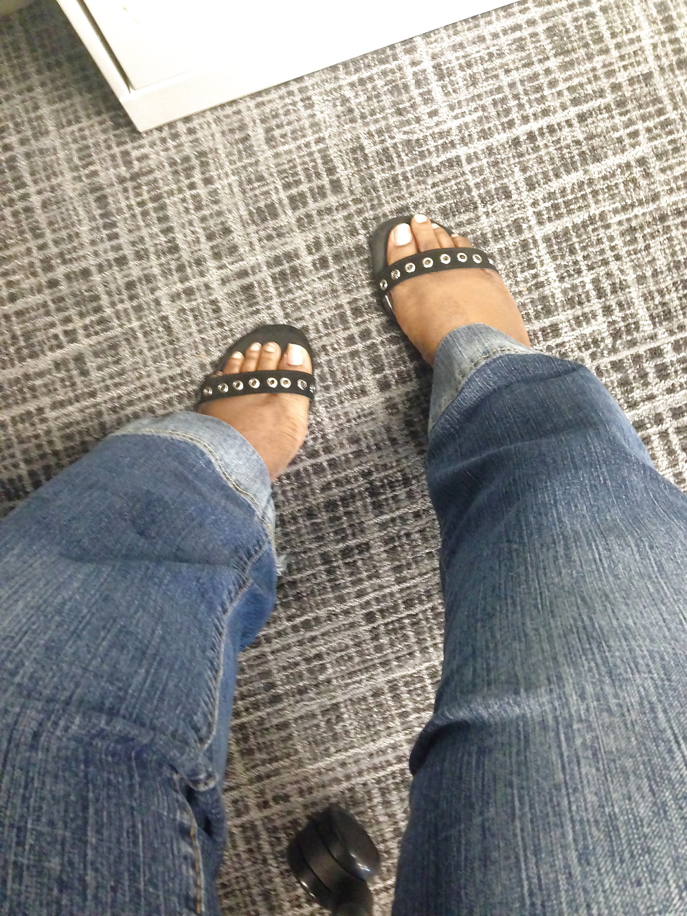 Noeys pies
 #32170432