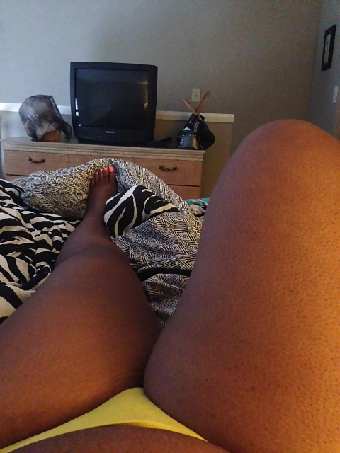 Noeys pies
 #32170435