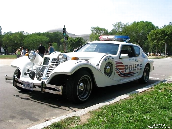 Interessanti auto della polizia (non nudo - solo divertente)
 #40112700