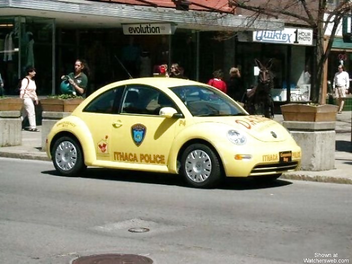 Interessanti auto della polizia (non nudo - solo divertente)
 #40112814