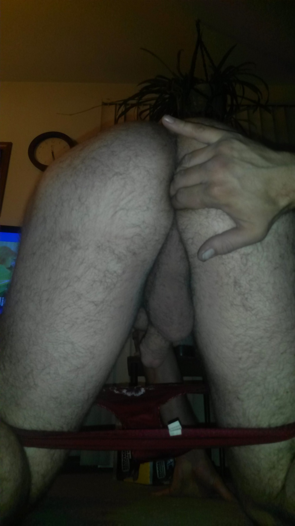 Things in my ass #32862220