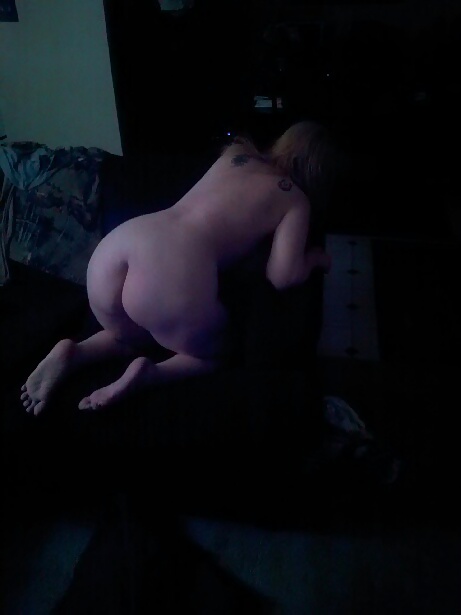 My big donkey
 #35275023