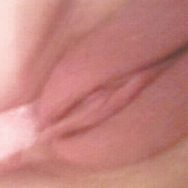 My big donkey
 #35275026