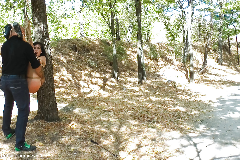 Desgracia pública carol vega
 #30581604