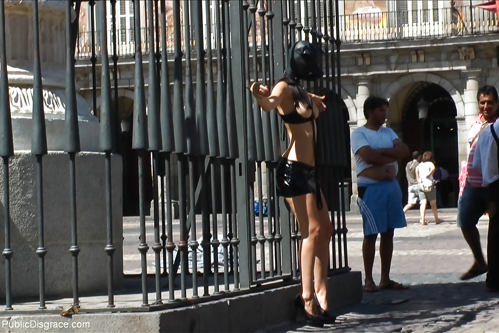 Desgracia pública carol vega
 #30581987