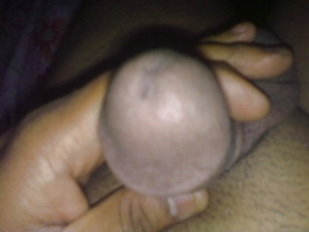 Dicky #23822279
