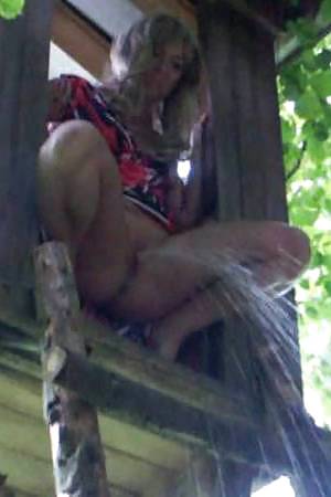 Forest-pig #23181401