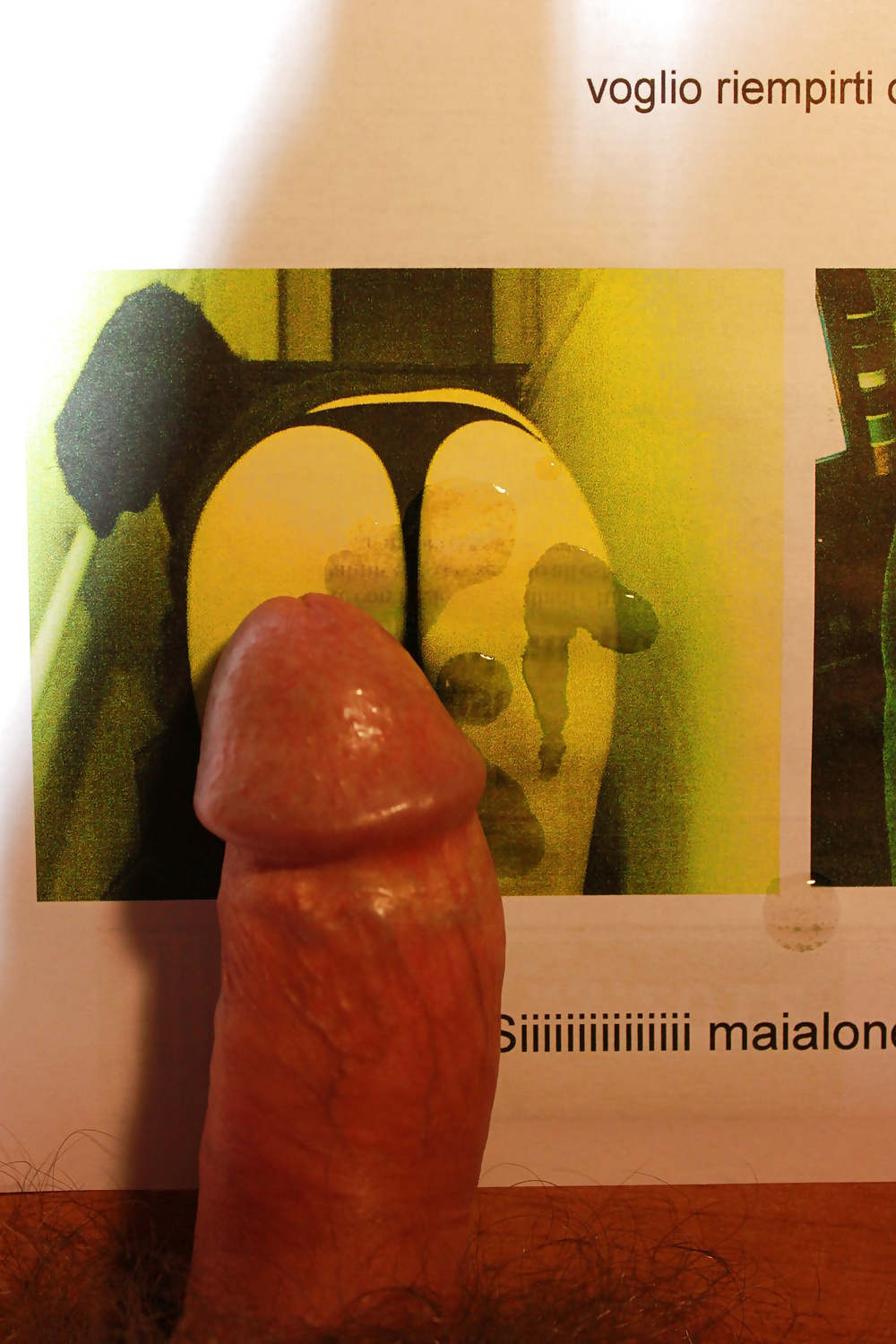 パーワーディ
 #39261736