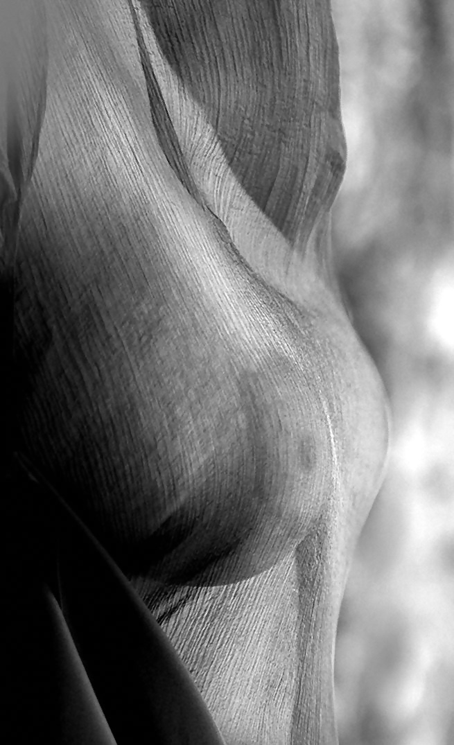 Creer en hacer creer 850
 #30702208