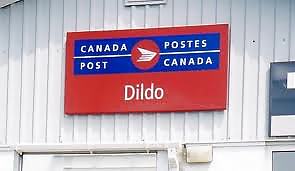 面白い
 #23702847