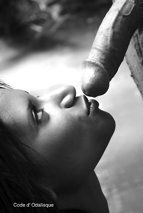 Código d odalisca
 #27726730