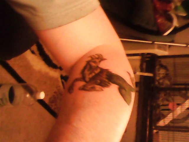 Me n tattoos n more #36595266