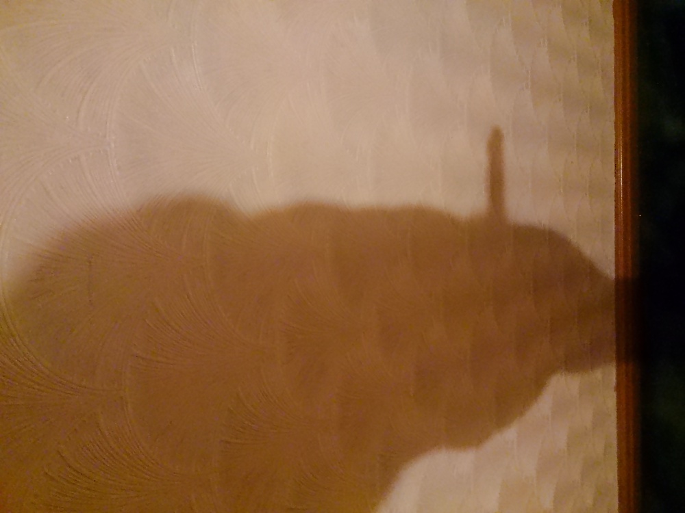 Sexy Schatten? #25266387