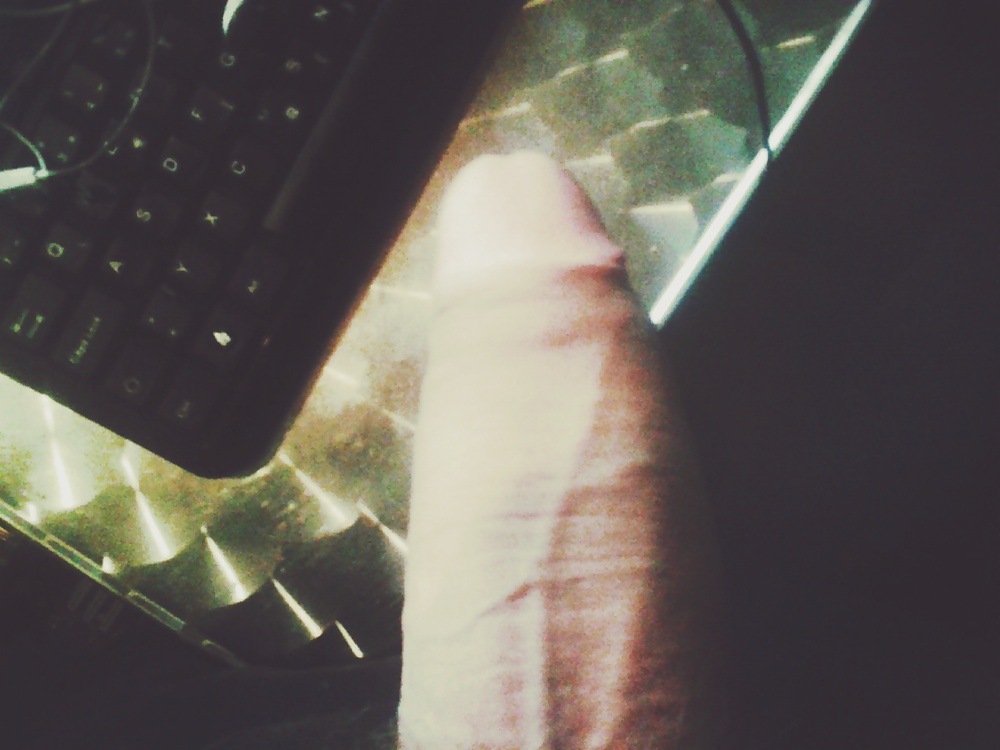 Kurac #38918019