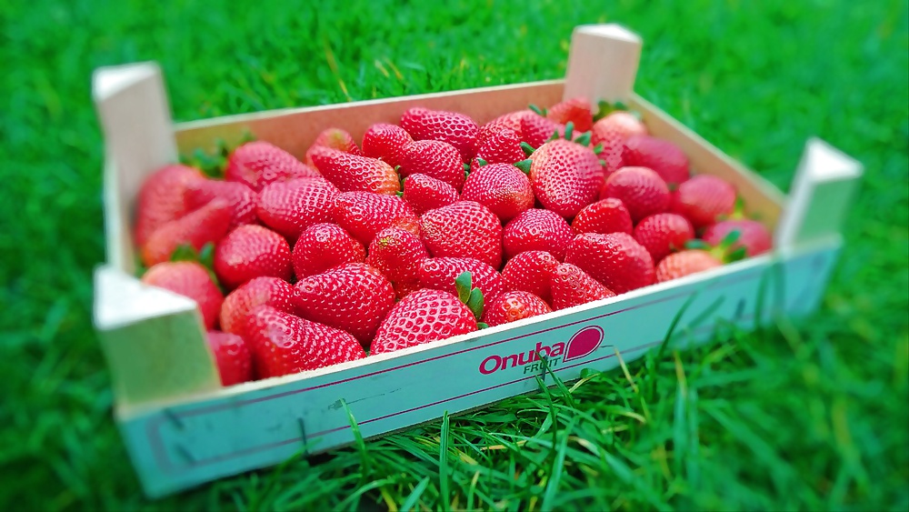 Erdbeeren Sexuelle Früchte Leckeres Essen Sex Und Sahne #34783715