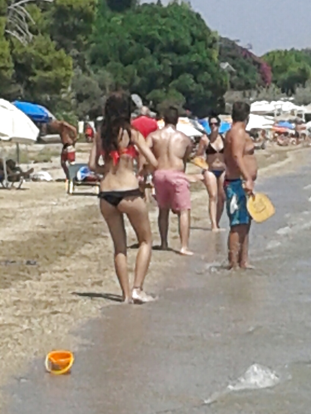 Sexy Paralies #28421342