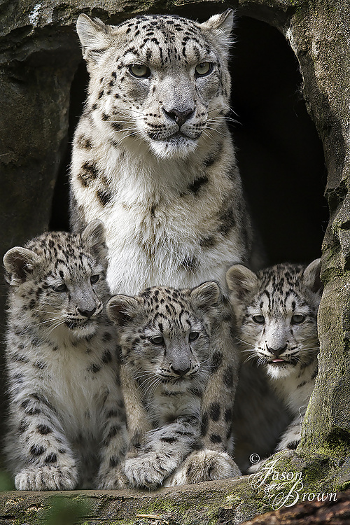 今日の写真
 #34868805