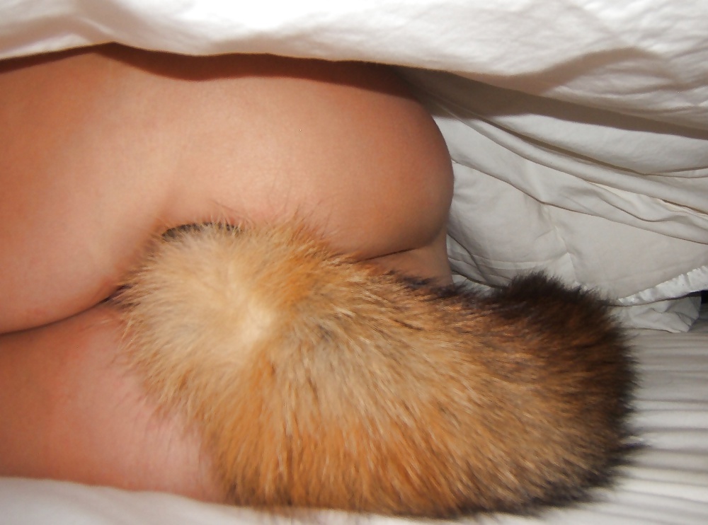 Tail plugs V #38779626