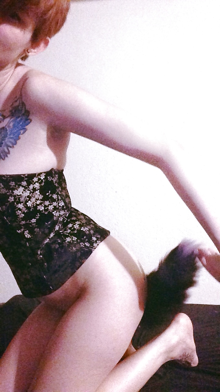 Tail plugs V #38779658